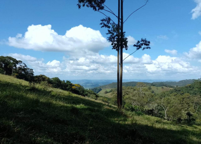 Chácara à venda em Poços de Caldas - MG. 20.000m², Bairro Colinas. R$460.000,00.