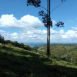 Chácara à venda em Poços de Caldas - MG. 20.000m², Bairro Colinas. R$460.000,00. Chácara à venda em Poços de Caldas - MG. 20.000m², Bairro Colinas. R$460.000,00.