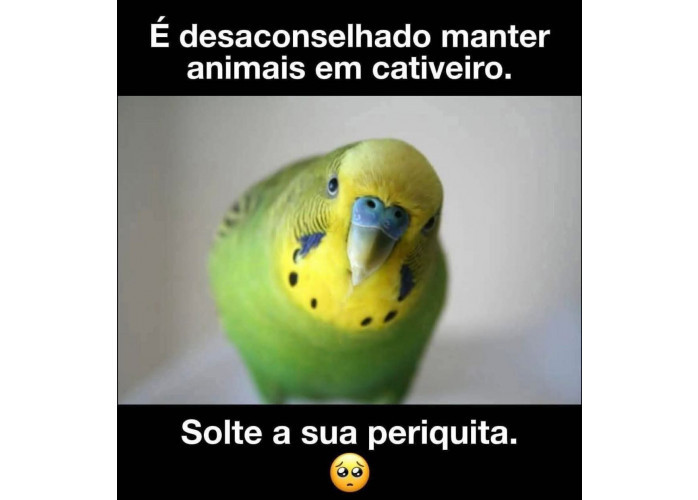 PROCURO EVANGÉLICA solteria QUE DESEJA FAZER ANAL NO SIGILO.