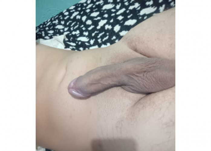 Novinho dos olhos claros 19 cm 