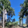 Terreno de esquina de 1200m² em Itaipuaçu Terreno de esquina de 1200m² em Itaipuaçu