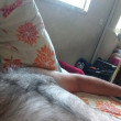 Peludo safado  Peludo safado