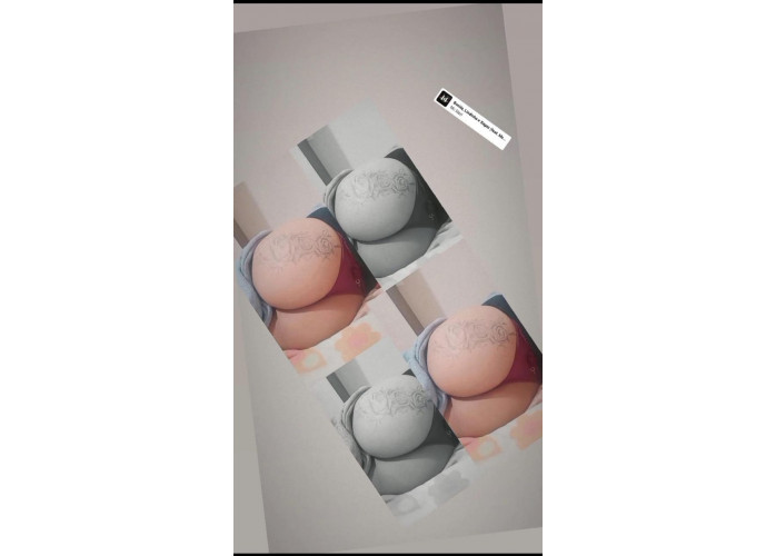 Trans gulosa Trans gulosa