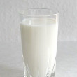 Bezerro com local 
