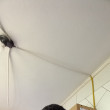 Juninho o Guri de Caçapava. Eu estou em Arroio do Meio RS 