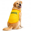 KIT COM 2 Camisas Do Brasil Para Cachorros