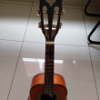 Vendo cavaquinho  ARIASS