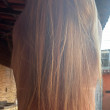 Coroa carinhosa 